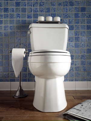 Toilet_Picture